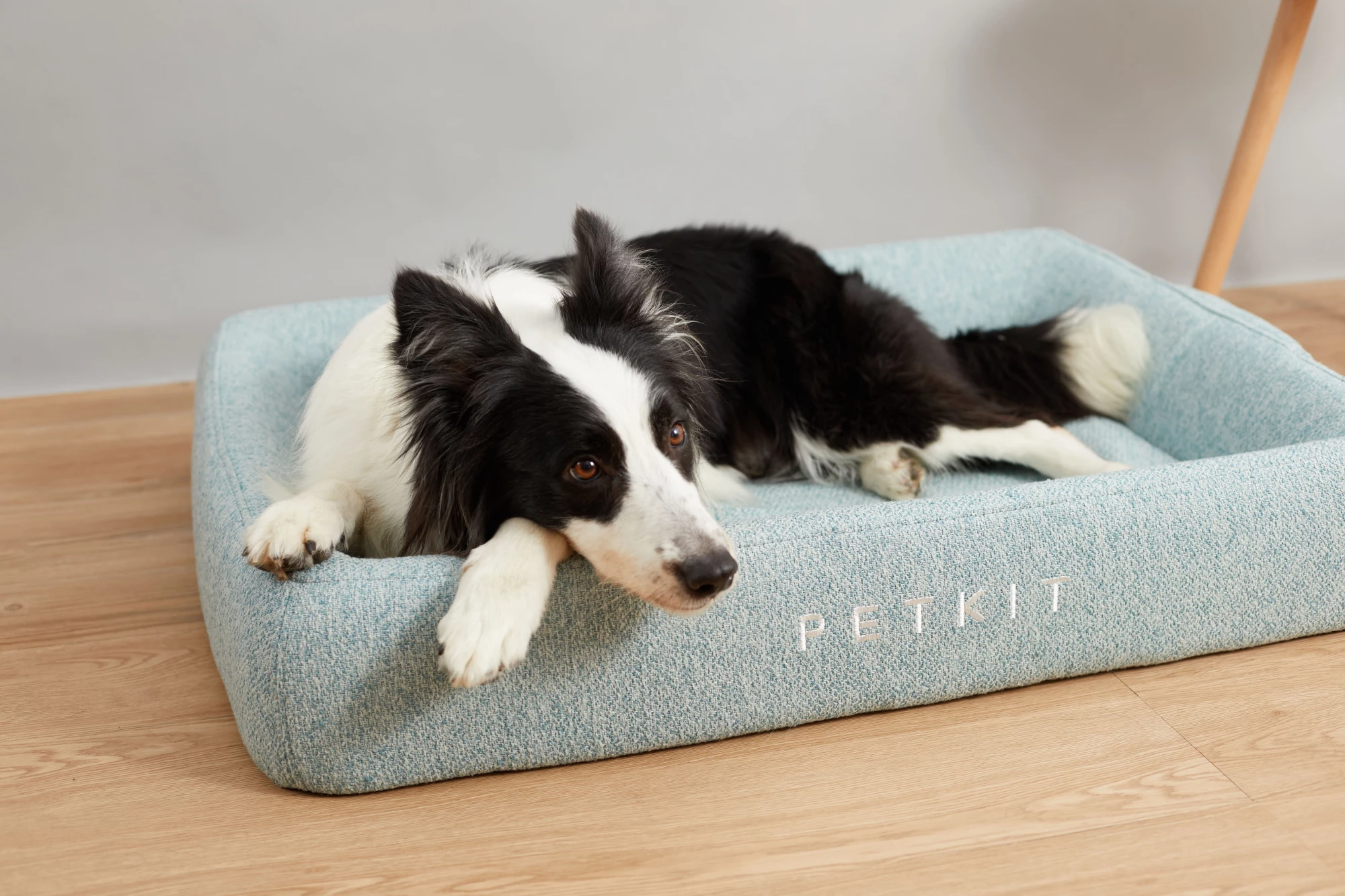 Nest gulta mājdzīvniekiem PETKIT Four -