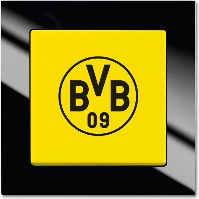 Busch-Jaeger Axcent Yellow, Black divvirzienu slēdža