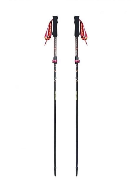 Nūjošanas nūjas Viking Kettera Pro Lady