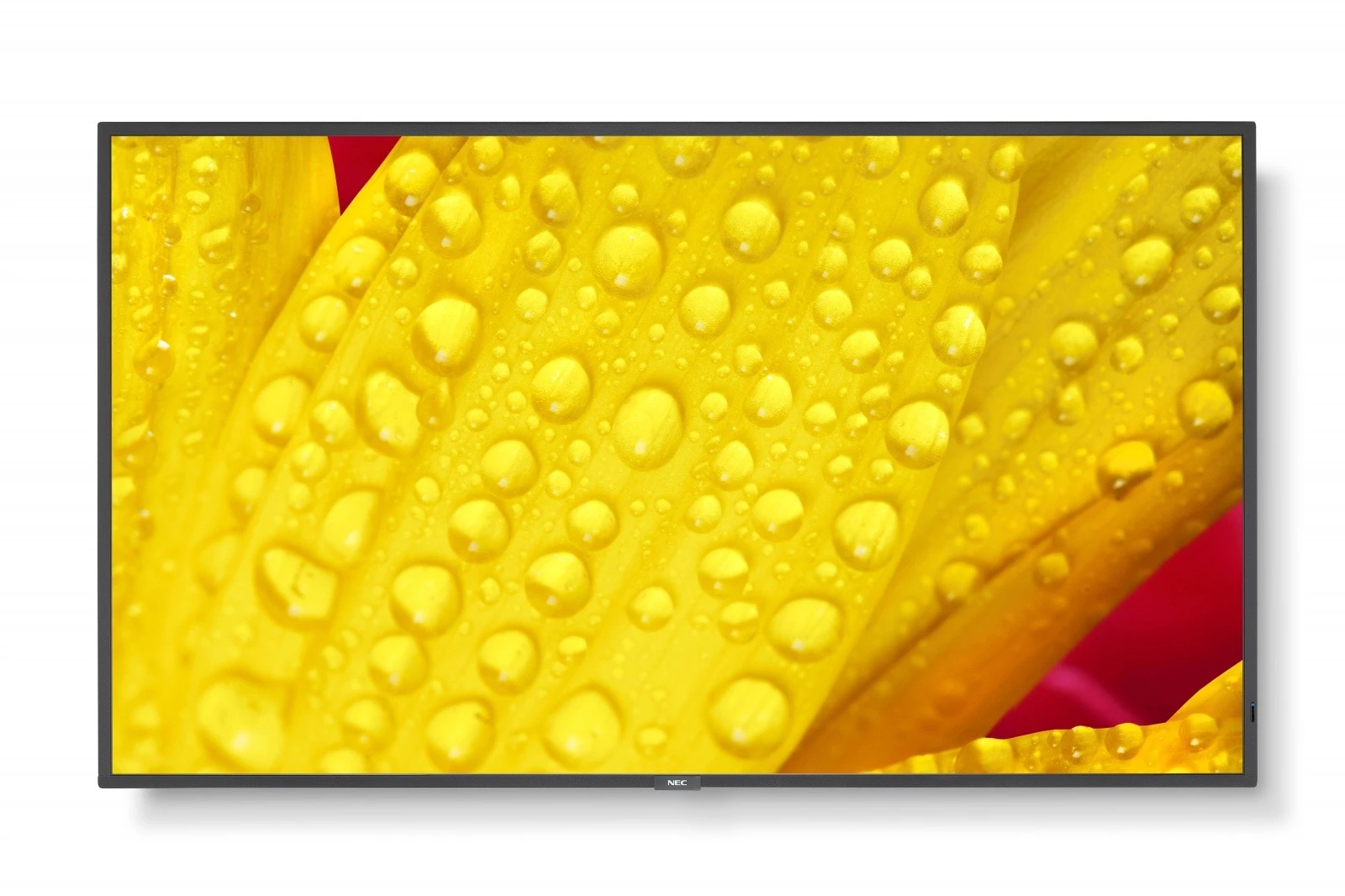 NEC MultiSync M651-2 65 collu LED