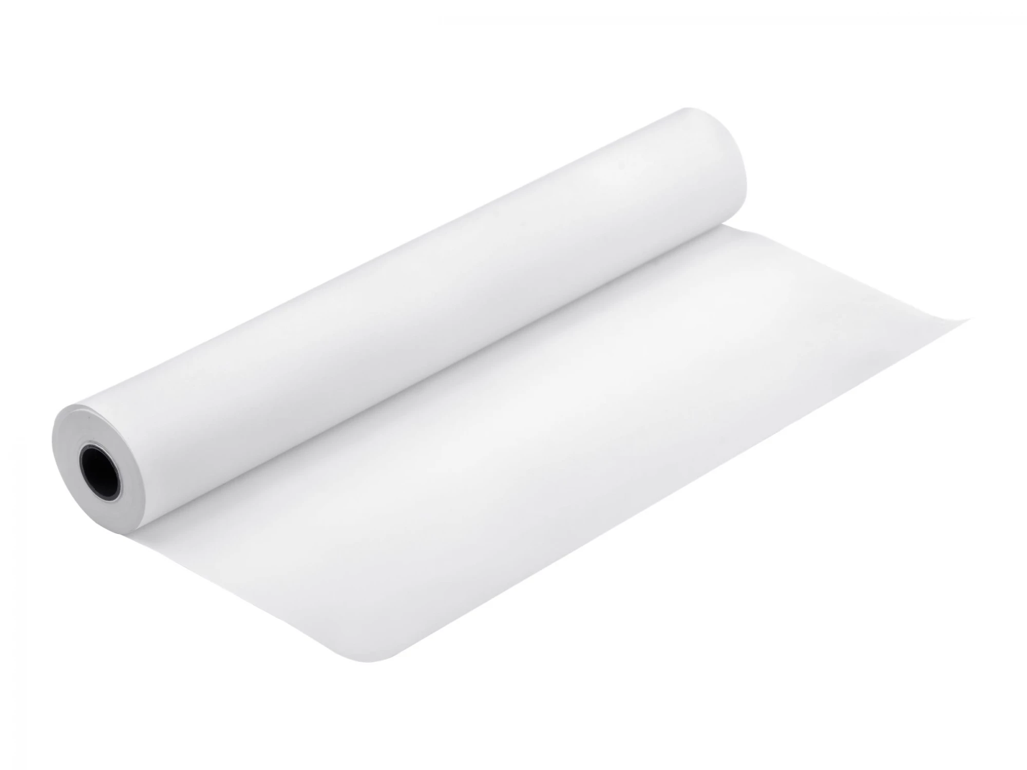 Epson Doubleweight Matte Paper ruļļa papīrs
