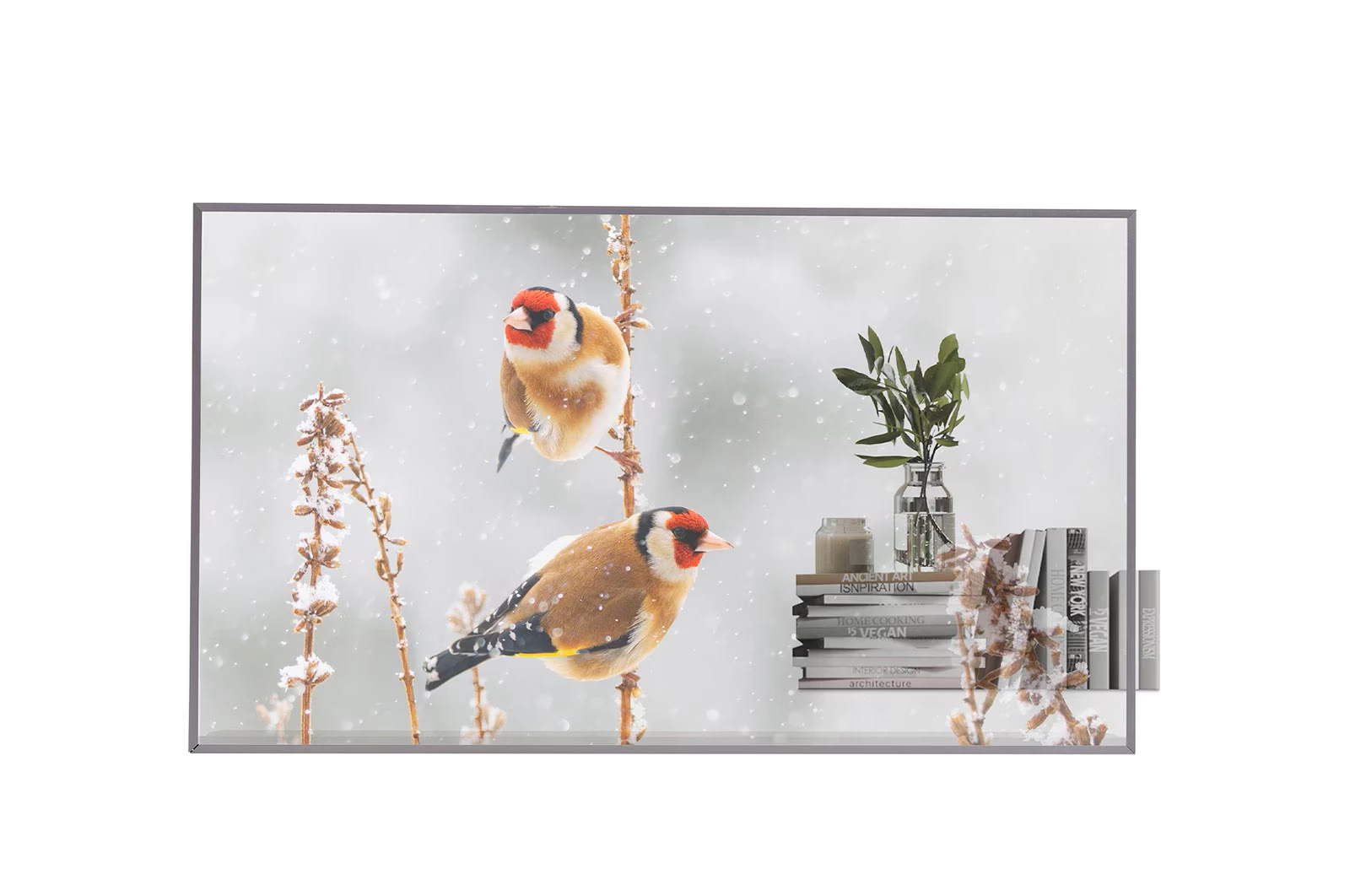 LG 55 collu caurspīdīgais OLED monitors