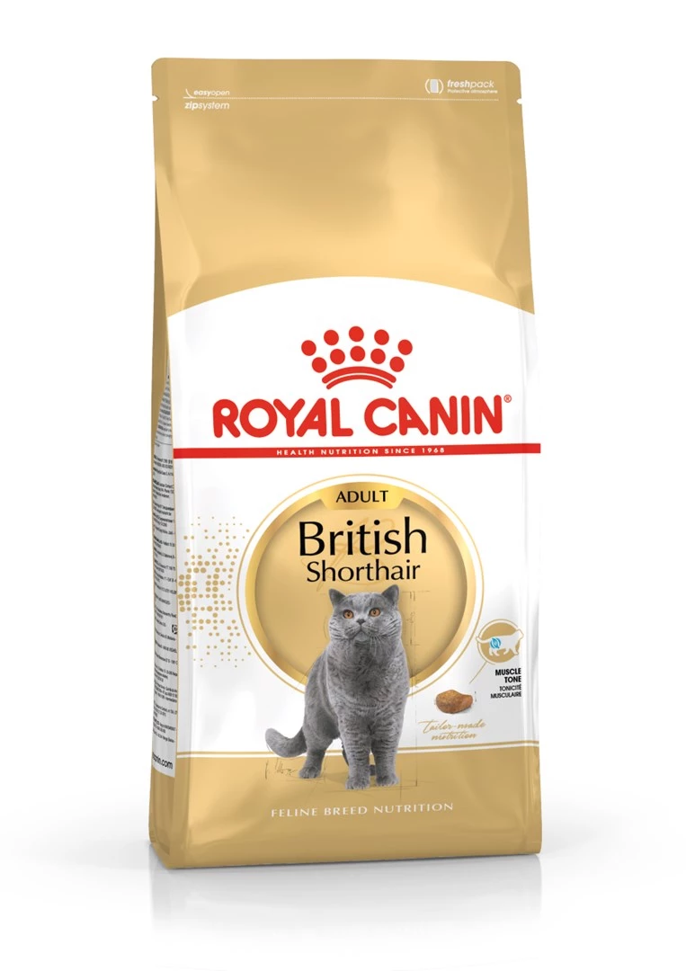 Sausā kaķu barība Royal Canin British