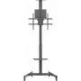 SpeaKa Professional SP-TVC-1300 mobilais televizora statīvs, augstuma regulējams, 94.0 cm, 37 inch - 190.5 inch (75 inch), SP-13383160