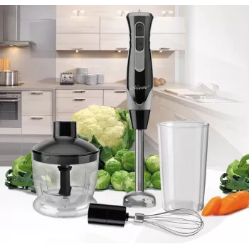 Rokas blenderis Maestro MR-566, 500 W, 2 ātrumi, turbo, putotājs, smalcinātājs 600 ml, 900 ml uzglabāšanas trauks, nerūsējošais tērauds
