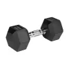 Hanteles ar gumijotu čugunu HEX 2x10 kg REBEL ACTIVE