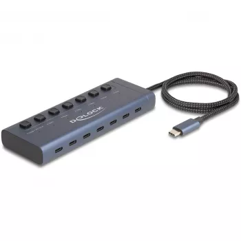 DeLOCK 63410 USB 3.2 Gen 1 Type-C Hub 7 porti, zils