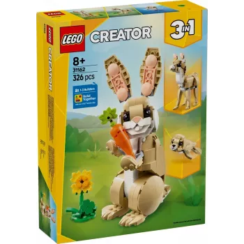 LEGO CREATOR 3 IN 1 31162 Jauks trusis