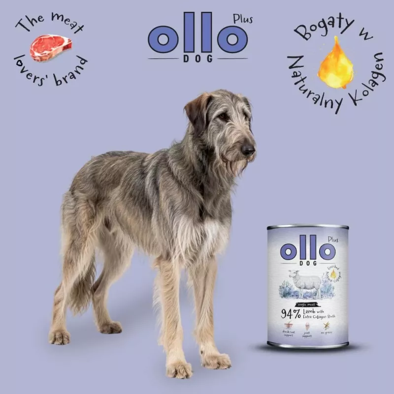 Ollo Plus Kolagen Jēra gaļa 400g skārdenē sunim