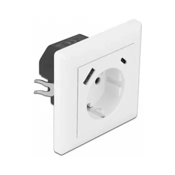 DeLOCK 11489 Sienas kontaktligzda CEE 7/3 + USB Balta 250V 16A