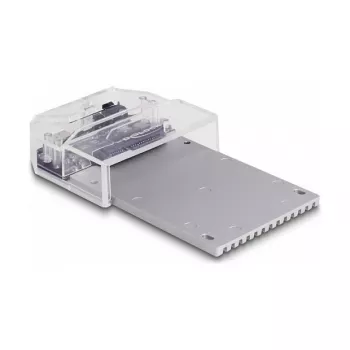 DeLOCK USB Type-C Docking Station 1 x U.2 SSD Melna
