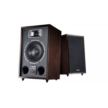 Grīdas skaļrunis Magnat TRANSPULS 800A 2-virzienu vadu un bezvadu 2×60 W, Bluetooth 5.0, HDMI, Melns/Brūns