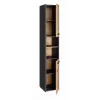 Topeshop S30 ANTRACYT/ARTISAN vannas istabas skapis