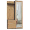 Priekšnama skapis Top e shop GARD DUO ANT/ART KPL — 2 veramas durvis, skaidu plātne, 1000×350×1800 mm