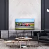 Thomson 43QG7C14 43 collu 4K Ultra HD QLED Smart TV