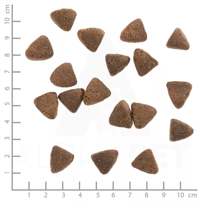 Wolfsblut Wide Plain Light sausā barība suņiem, zirga gaļa ar saldajiem kartupeļiem, 12,5 kg
