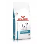 Sausā suņu barība Royal Canin Anallergenic Small 1,5 kg — hipoalerģiska formula pieaugušiem mazo šķirņu suņiem