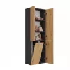 Topeshop NEL 1K DD ANT/ART KP vannas istabas skapis Graphite, Oak