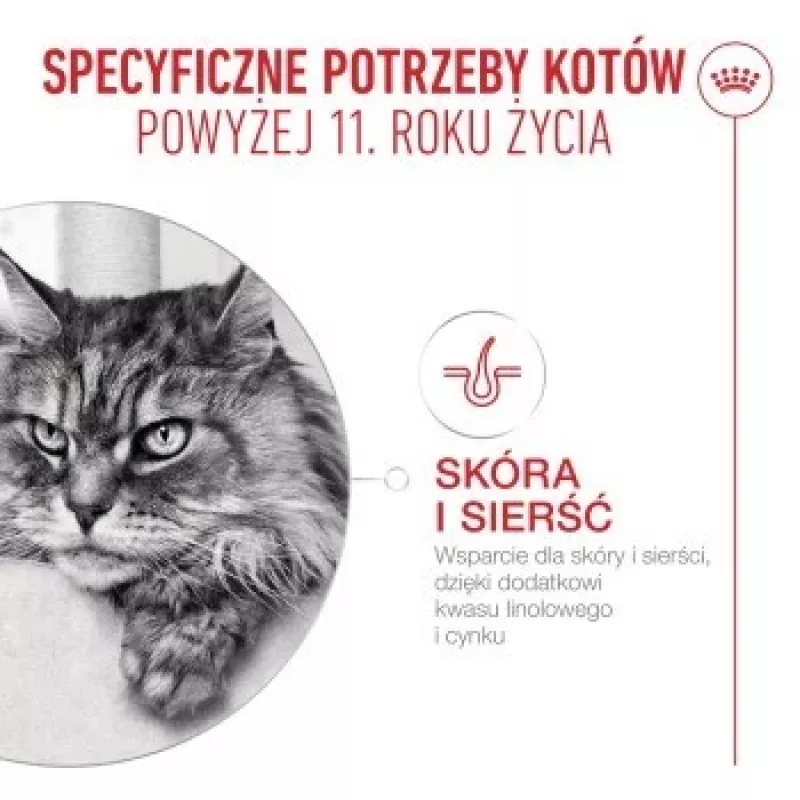 Slapjā barība kaķiem Royal Canin FHN Ageing 11+ Gravy 12×85 g – pilnvērtīgas maltītes senioriem