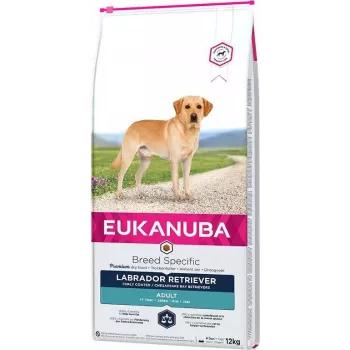 Sausā suņu barība EUKANUBA Adult Labrador Retrievers 12 kg — Vista un Tītars, 23% Olbaltumvielas, 13% Tauki