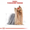 ROYAL CANIN BHN Yorkshire Terrier Adult sausā suņu barība - 7,5 kg