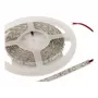 Synergy 21 LED Flex Strip 3528 - 60 Sarkana DC12V 24W IP20