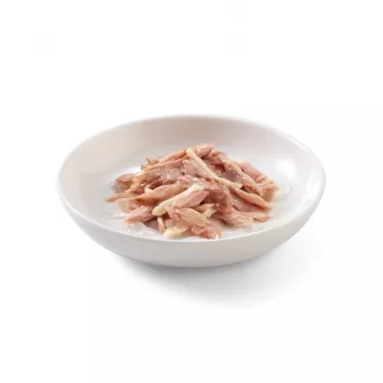 SCHESIR Tūns ar vistu želejā - mitrā kaķu barība - 85g
