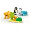 Lego 10442 Savvaļas dzīvnieku ģimenes: Pingvīni un Lauvas
