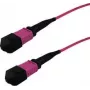 InfiniBand optiskās šķiedras kabelis GRAFENTHAL GTOM4MPOUMPOU01000 10m MPO OFC Violeta