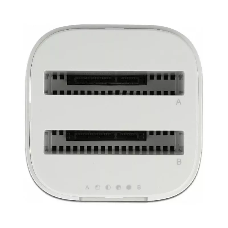 Docking Station DeLOCK USB Type-C 3.2 2 x 2.5 inch SATA HDD/SSD