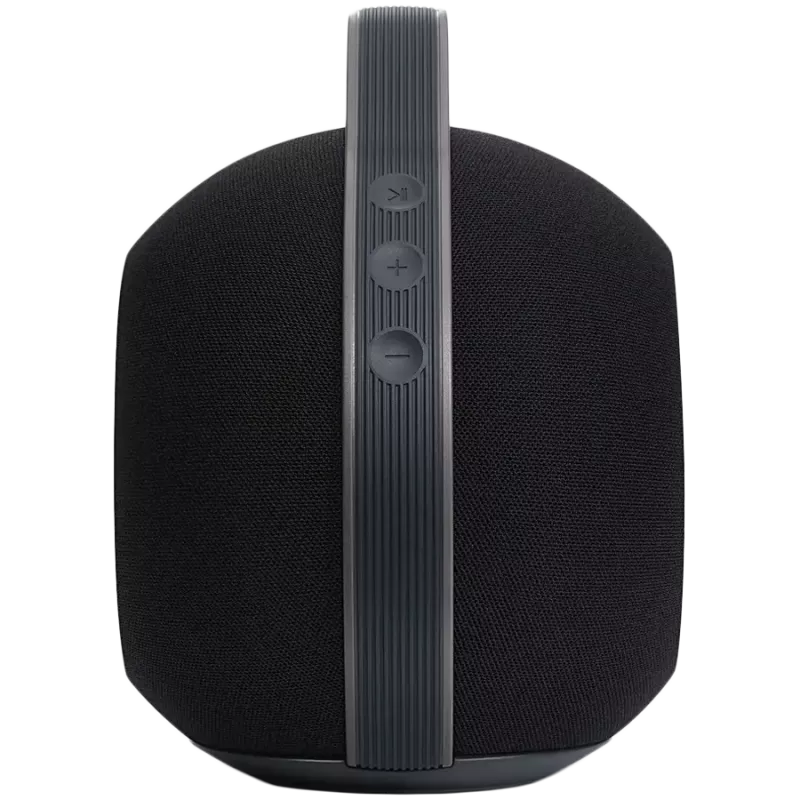 Pārnēsājams stereo skaļrunis Devialet Mania 95 dB