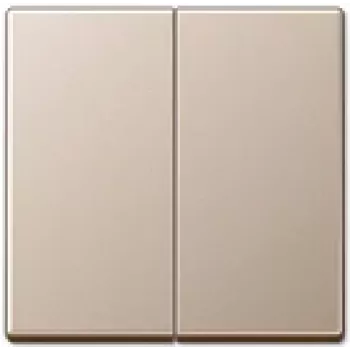 JUNG A 595 CH šampanieša krāsas rāmis - 505 U - 509 U - 505 TU - 509 TU - 535 U - 539 U