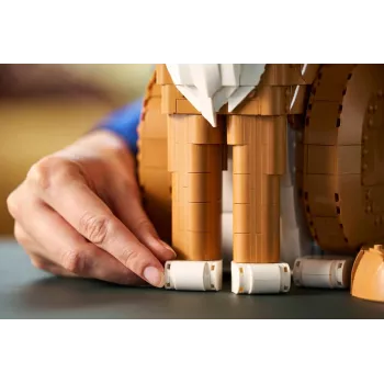 LEGO IDEAS 21376 Oranžs kaķis