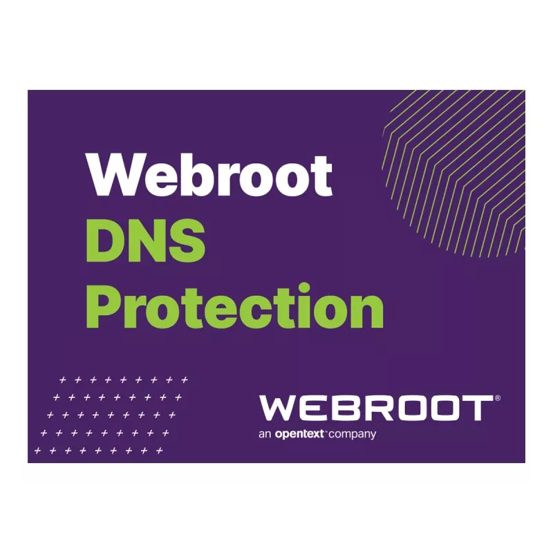 Webroot DNS Protection ar GSM Console | 2 gadi | Licence 1-9 lietotājiem