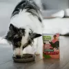 ANIMAL ISLAND Mono-Protein Tītars Suņiem 300g