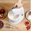 Blenderis Zelmer ZHM2559 70305411P