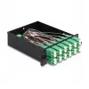DeLOCK Fiber Optic HD Cassette MPO vīrietis uz 12 x LC Duplex sieviete 24 šķiedras Vienmoda 9/125 µm