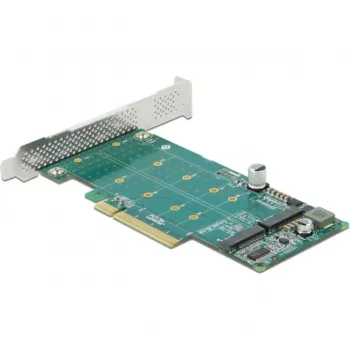 DeLOCK PCI Express x8 karte 2 x iekšējam NVMe M.2 Key M ar bifurkāciju, Low Profile