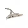 FireWire kabelis InLine 33390A 0,40 m Pelēks
