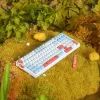 VGN V98 Pro spēļu tastatūra, Box Autumn – Maple Sugar Limited Edition (US)