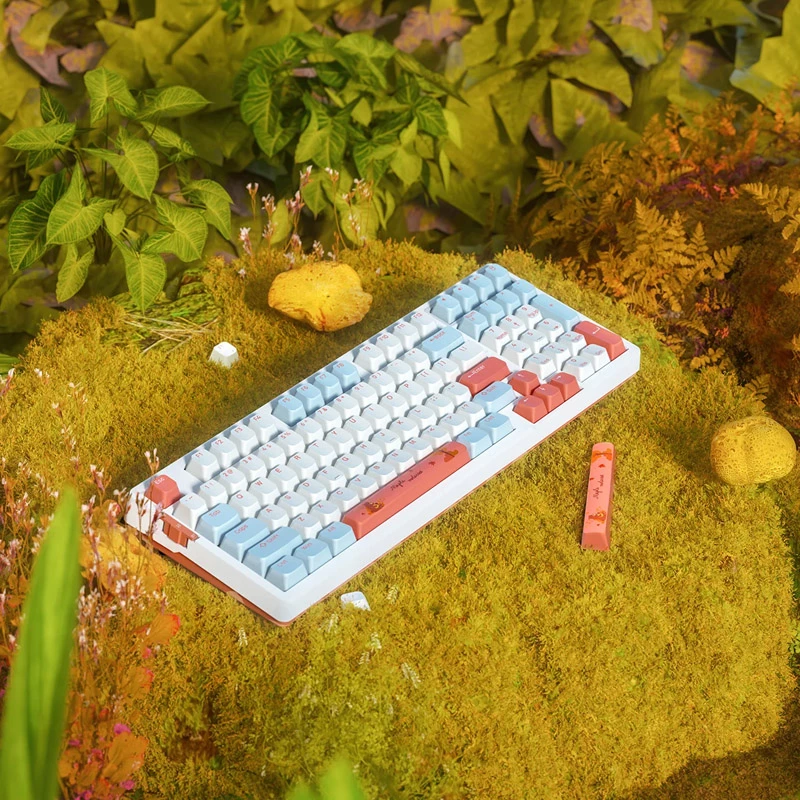 VGN V98 Pro spēļu tastatūra, Box Autumn – Maple Sugar Limited Edition (US)