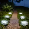 Maclean MCE318 LED saules celiņa lampa ar zemes smaili 12 LED SMD neitrāli balta 4000K 0,7 W IP44