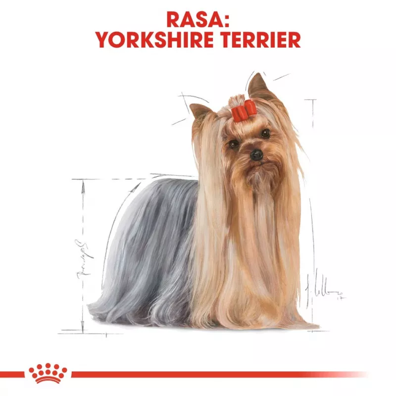 ROYAL CANIN BHN Yorkshire Terrier Adult - sausā barība suņiem - 3kg