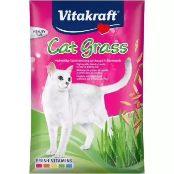Kaķu zāles sēklas Vitakraft 50 g — ēdamais augu maisījums kaķiem