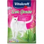 Kaķu zāles sēklas Vitakraft 50 g — ēdamais augu maisījums kaķiem