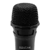Karaoke mikrofonu komplekts VocalDuo 2.4G SQ1007