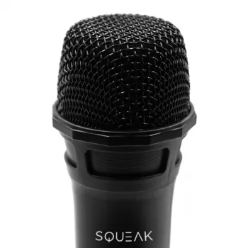 Karaoke mikrofonu komplekts VocalDuo 2.4G SQ1007