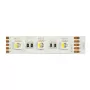Synergy 21 LED lente Flex Strip 5050 - 60 RGB DC24V + RGB-W vienā mikroshēmā neitrāli balta IP20