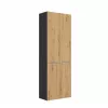 Topeshop NEL 1K DD ANT/ART KP vannas istabas skapis Graphite, Oak