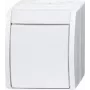Busch Jaeger Izslēgšanas Slēdzis 2601/2 W-54 (2CKA001085A1627)